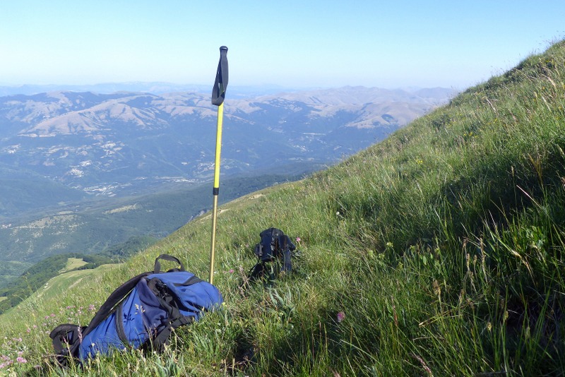 La Nigritella widderi a Pizzo di Sevo e Cima Lepri  -  luglio 2025